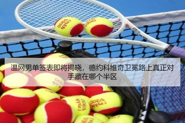 温网男单签表即将揭晓，德约科维奇卫冕路上真正对手藏在哪个半区